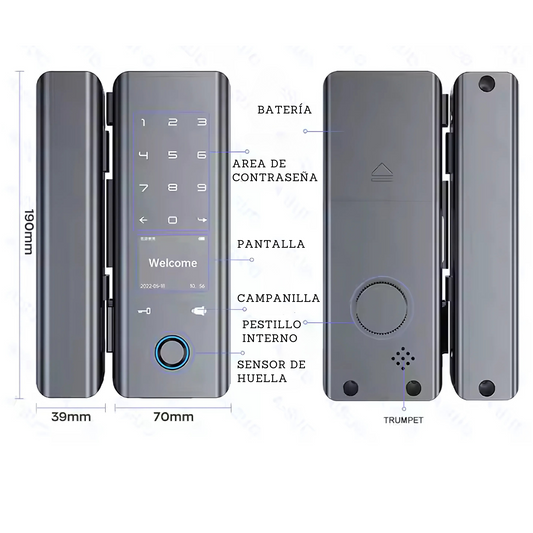 Cerradura inteligente para puerta de vidrio: huella, tarjeta y llave Smart lock B4