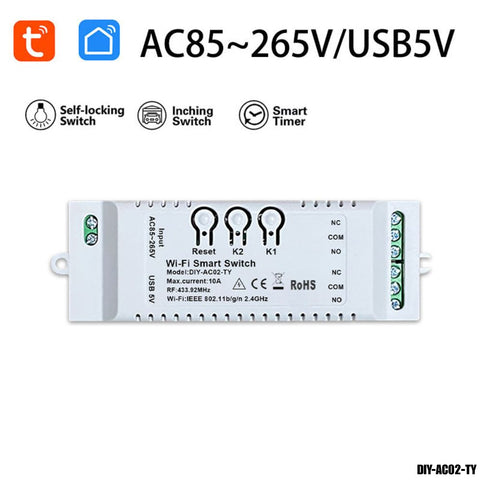 Módulo de relé inteligente AC (2 Canales) Wi-Fi + RF, Alexa/Google
