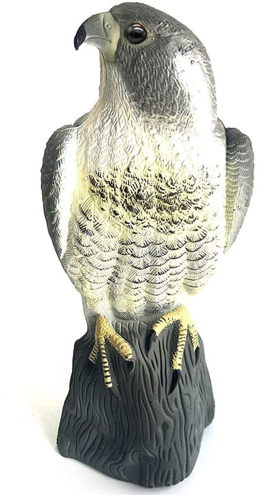 Halcón espantajájaros